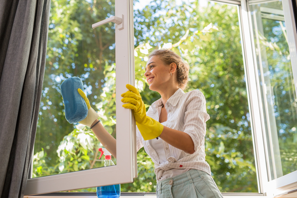 Window Cleaning Supplies